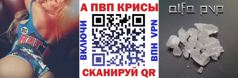 Альфа ПВП СК Великий Новгород