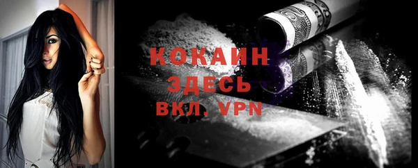 не бодяженный Дмитриев
