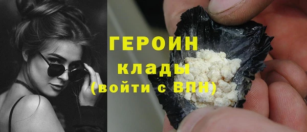 индика Ельня