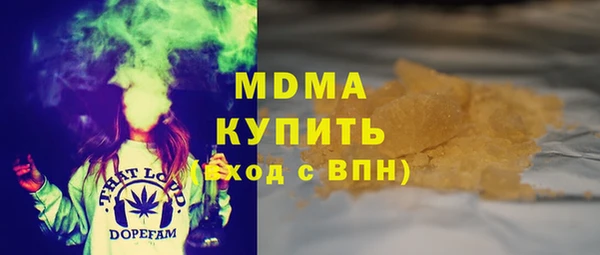 индика Ельня