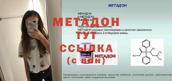 индика Ельня