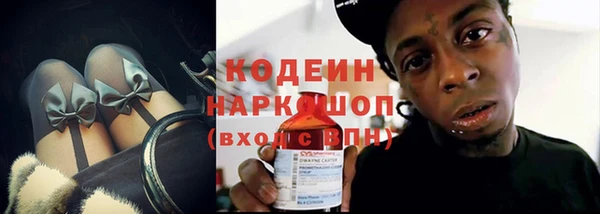 индика Ельня
