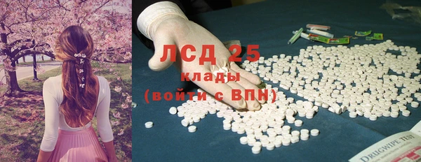 винт Елизово