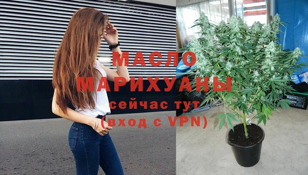 индика Ельня