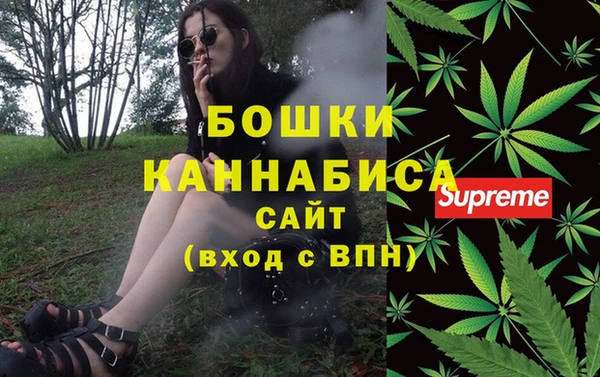 индика Ельня